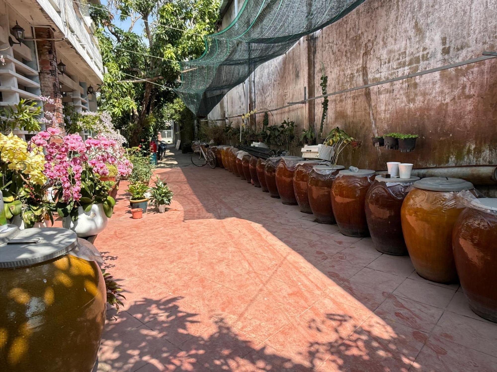 Island Homestay Tien Giang My Tho Exterior foto